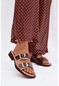 Dámské pantofle se zlatými přezkami – béžovo-hnědé Danelle