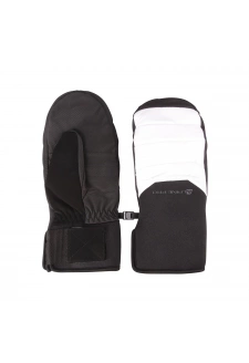 Pánské lyžařské rukavice ALPINE PRO NERNE