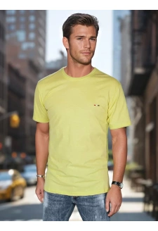 T-shirt męski z haftem żółty Dstreet RX5636