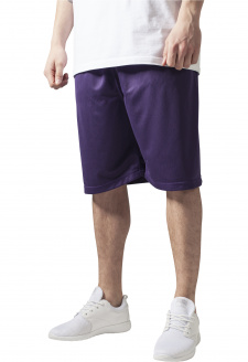 Bball Mesh Shorts purple